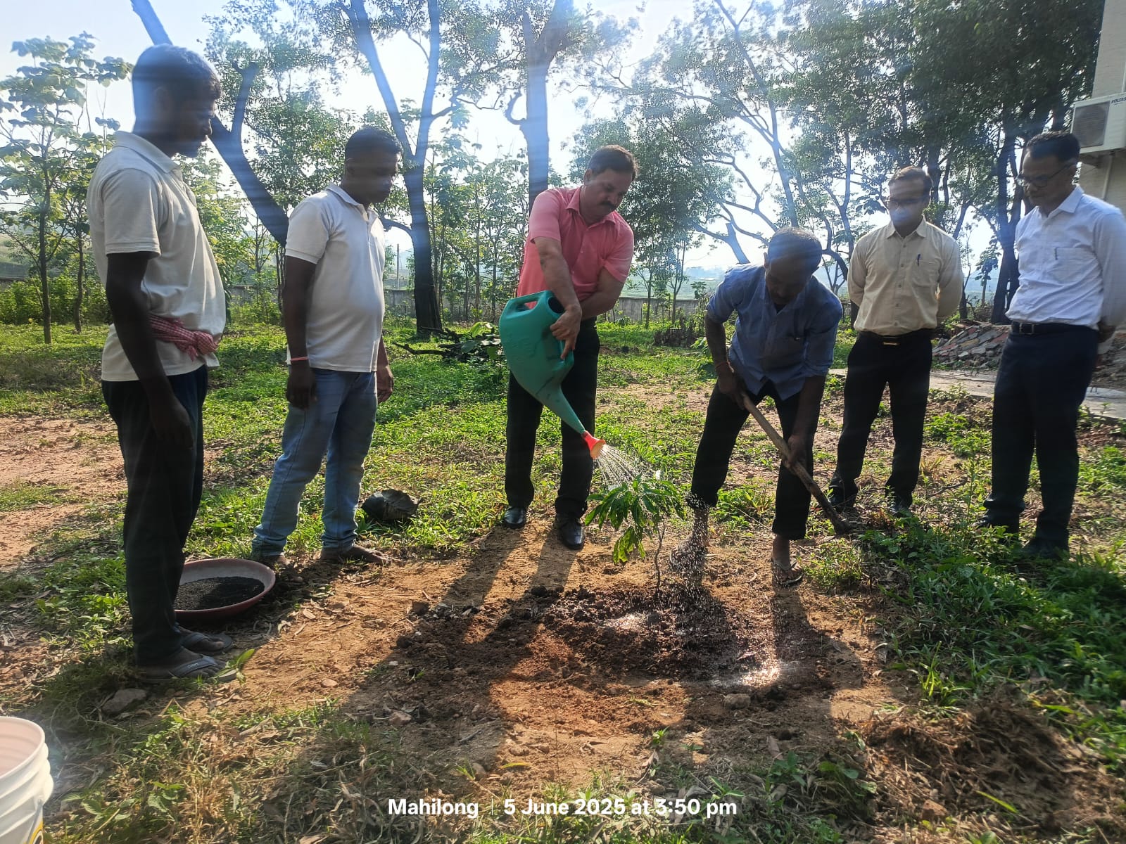 Tree Plantation During Celebration 5th June 2025, World Environment Day